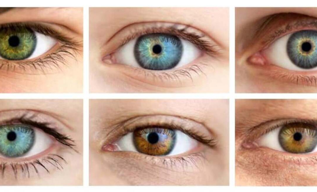 Browns, blues, greens: what defines the color of our eyes?