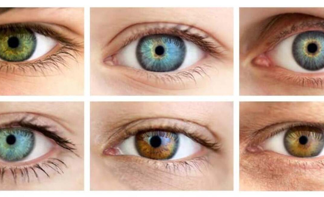 Bruns, bleus, verts : qu'est-ce qui définit la couleur de nos yeux ?