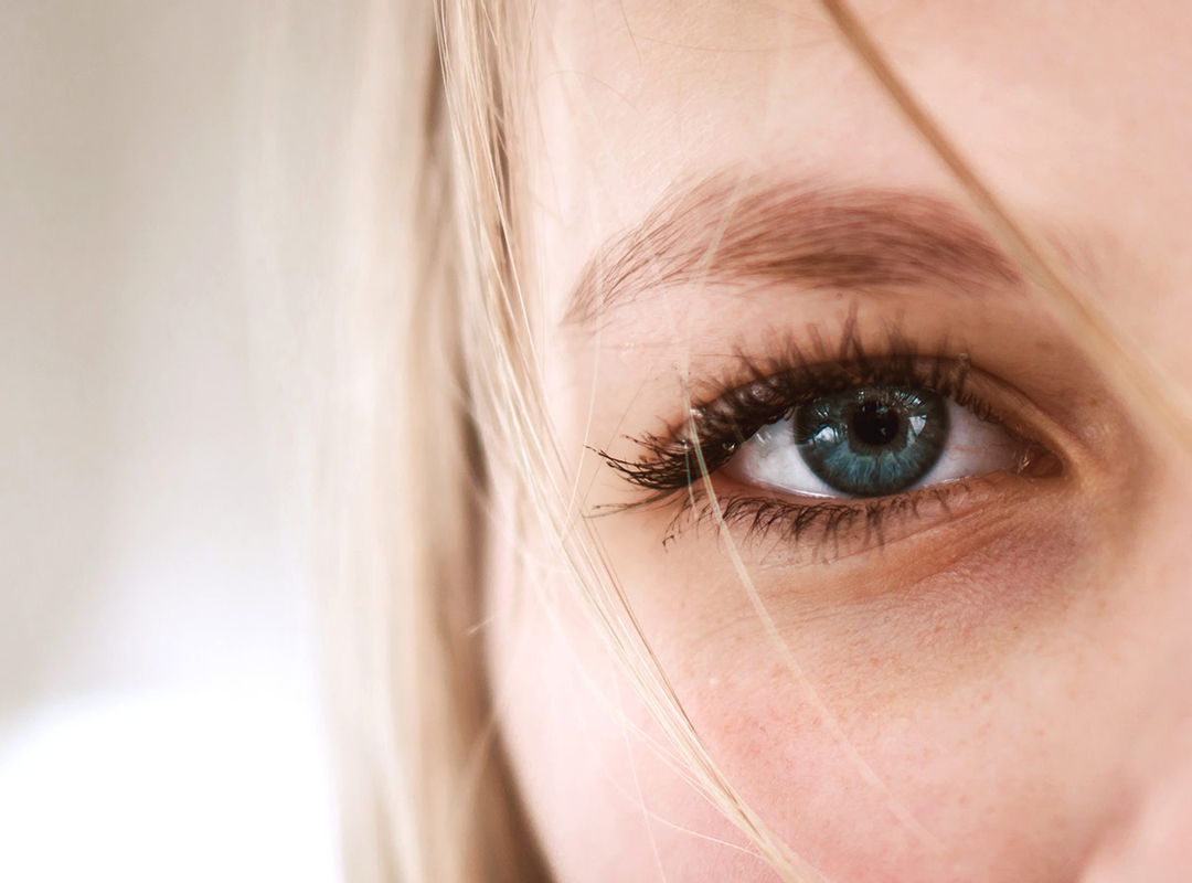 Offrez un nouveau regard en cadeau