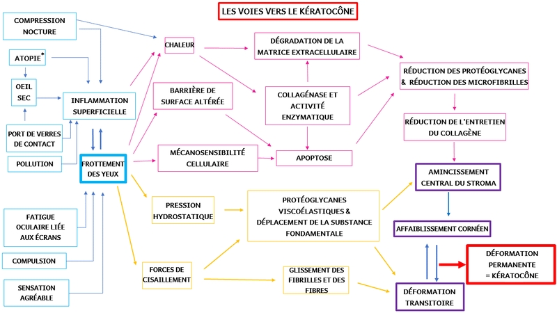 Schéma frottement des yeux et kératocône